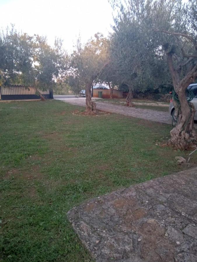 קרניצה Apartman Krcina מראה חיצוני תמונה