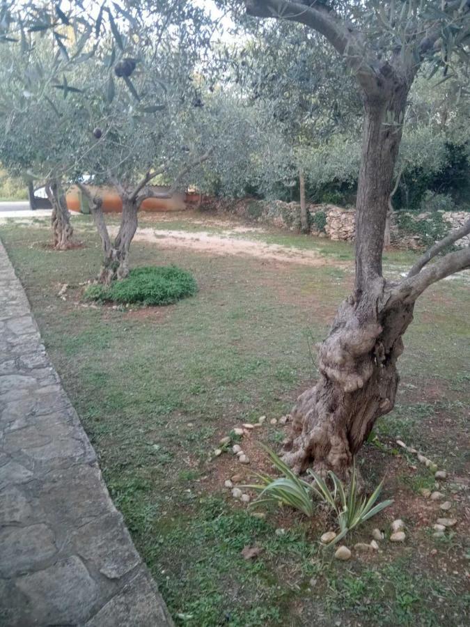 קרניצה Apartman Krcina מראה חיצוני תמונה