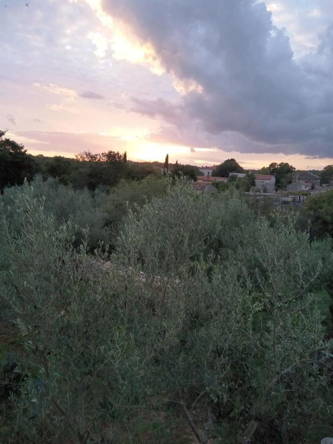 קרניצה Apartman Krcina מראה חיצוני תמונה